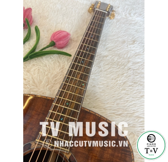 Acoustic Guitar GB-25