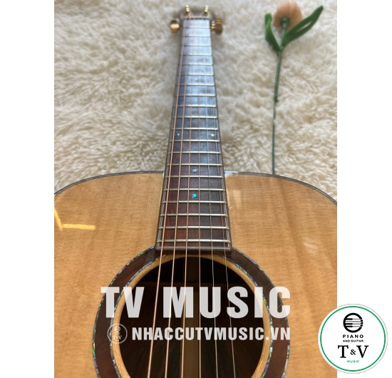 Guitar Acoustic OM-10