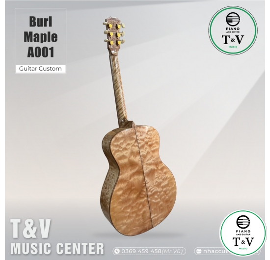Acoustic Guitar A001