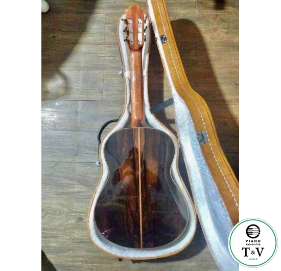 Guitar C005